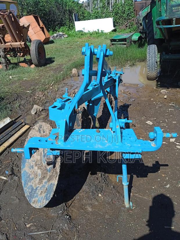 Dama Plaugh - thumbnail 3