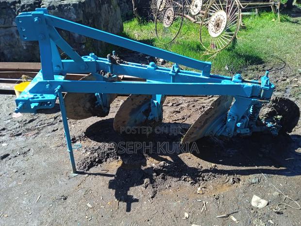 Dama Plaugh - thumbnail 4