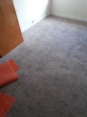 Delta Wall to Wall Carpet Professional Carpet for Interior Flooring