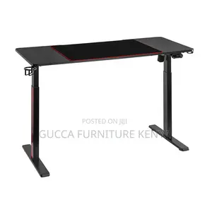 120cm Modern Ergonomic Electric Standing Desk