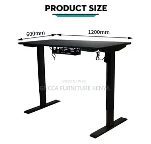 120cm Modern Ergonomic Electric Standing Desk