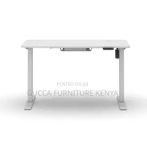 120cm Modern Ergonomic Electric Standing Desk
