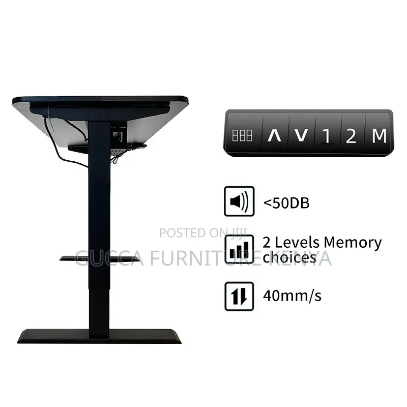 120cm Modern Ergonomic Electric Standing Desk