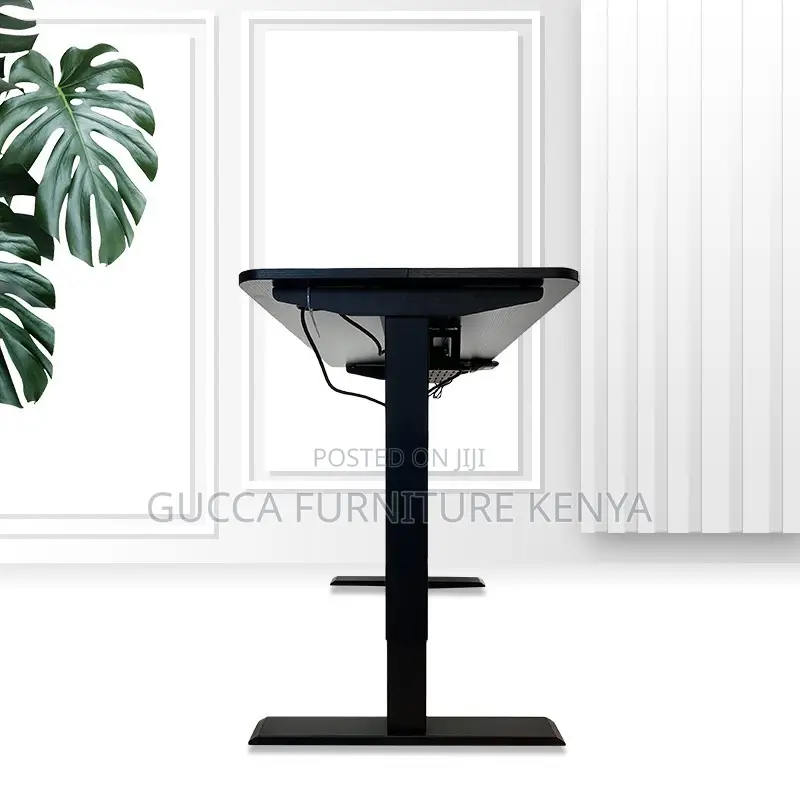 120cm Modern Ergonomic Electric Standing Desk