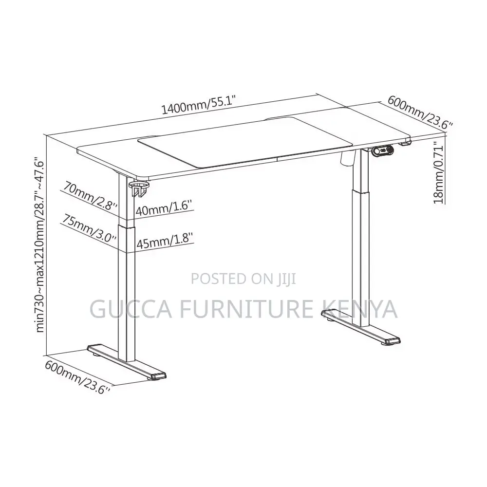 120cm Modern Ergonomic Electric Standing Desk