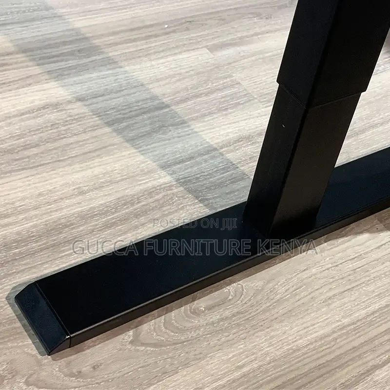 120cm Modern Ergonomic Electric Standing Desk