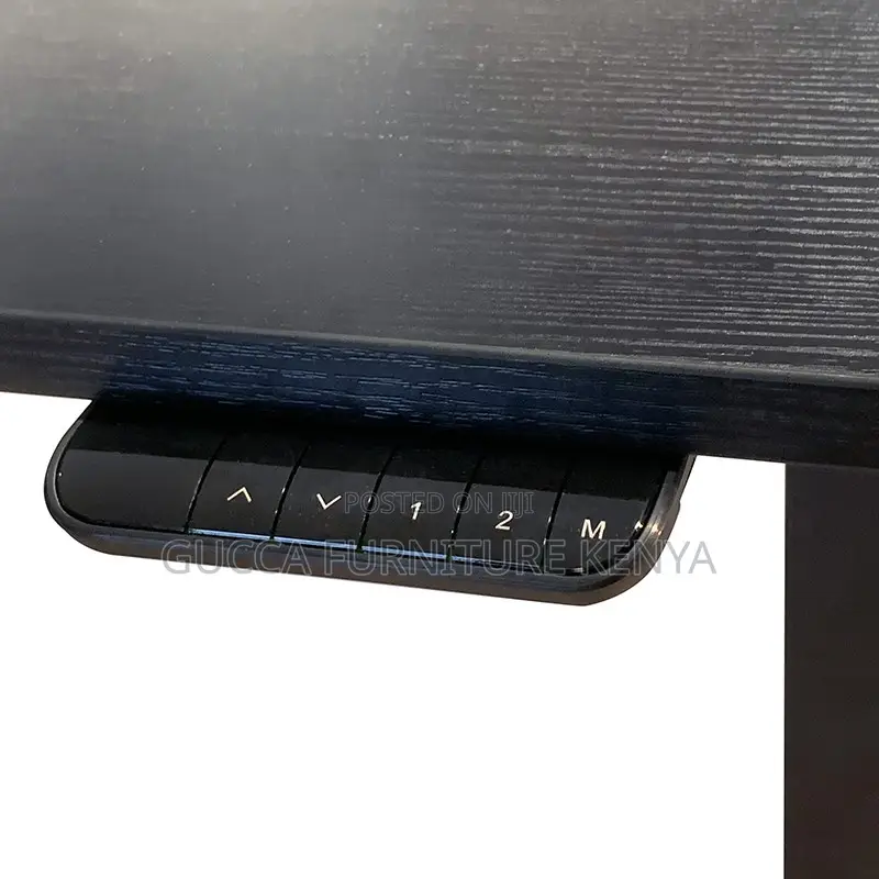 120cm Modern Ergonomic Electric Standing Desk