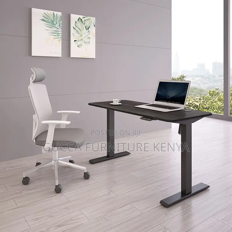 120cm Modern Ergonomic Electric Standing Desk