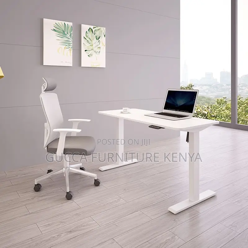 120cm Modern Ergonomic Electric Standing Desk