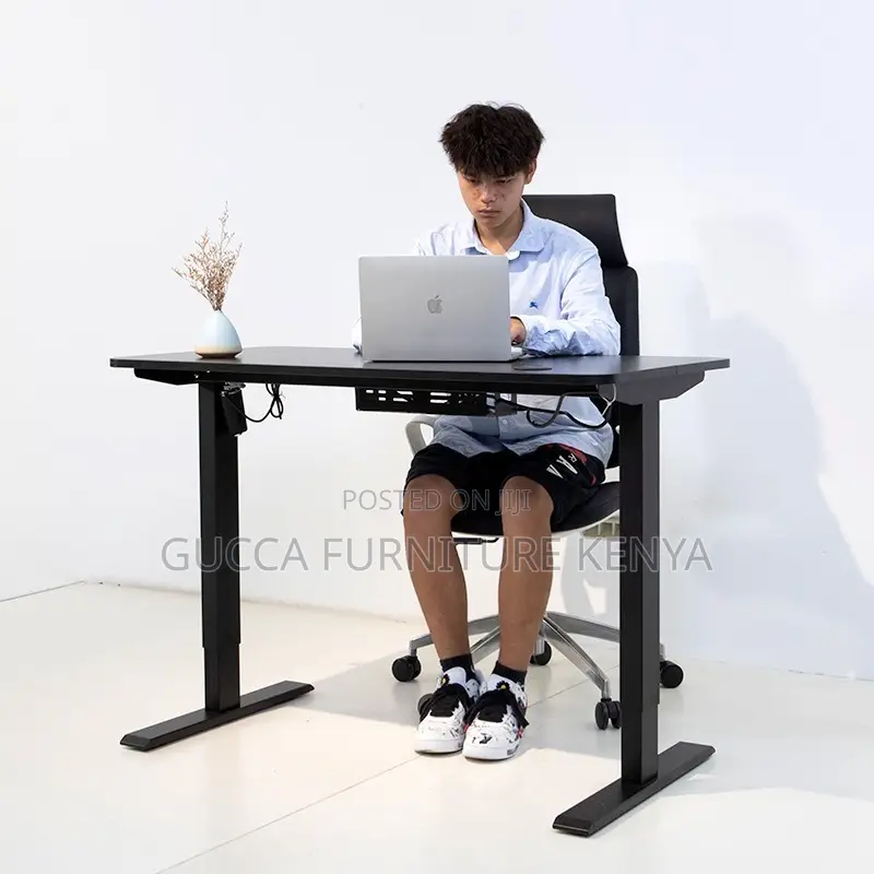 120cm Modern Ergonomic Electric Standing Desk