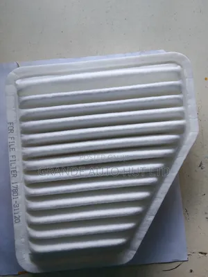 Air Filter Toyota Rav4/Vanguard (Forfile Brand)