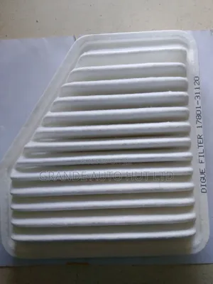 Air Filter Toyota Vanguard (Digue Brand)