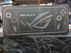 Asus Rog Ally X