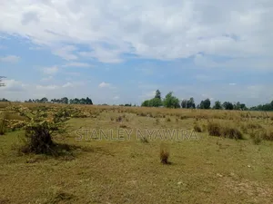 Selling 1.2.3.And 5 Acreas Nanyuki Segera
