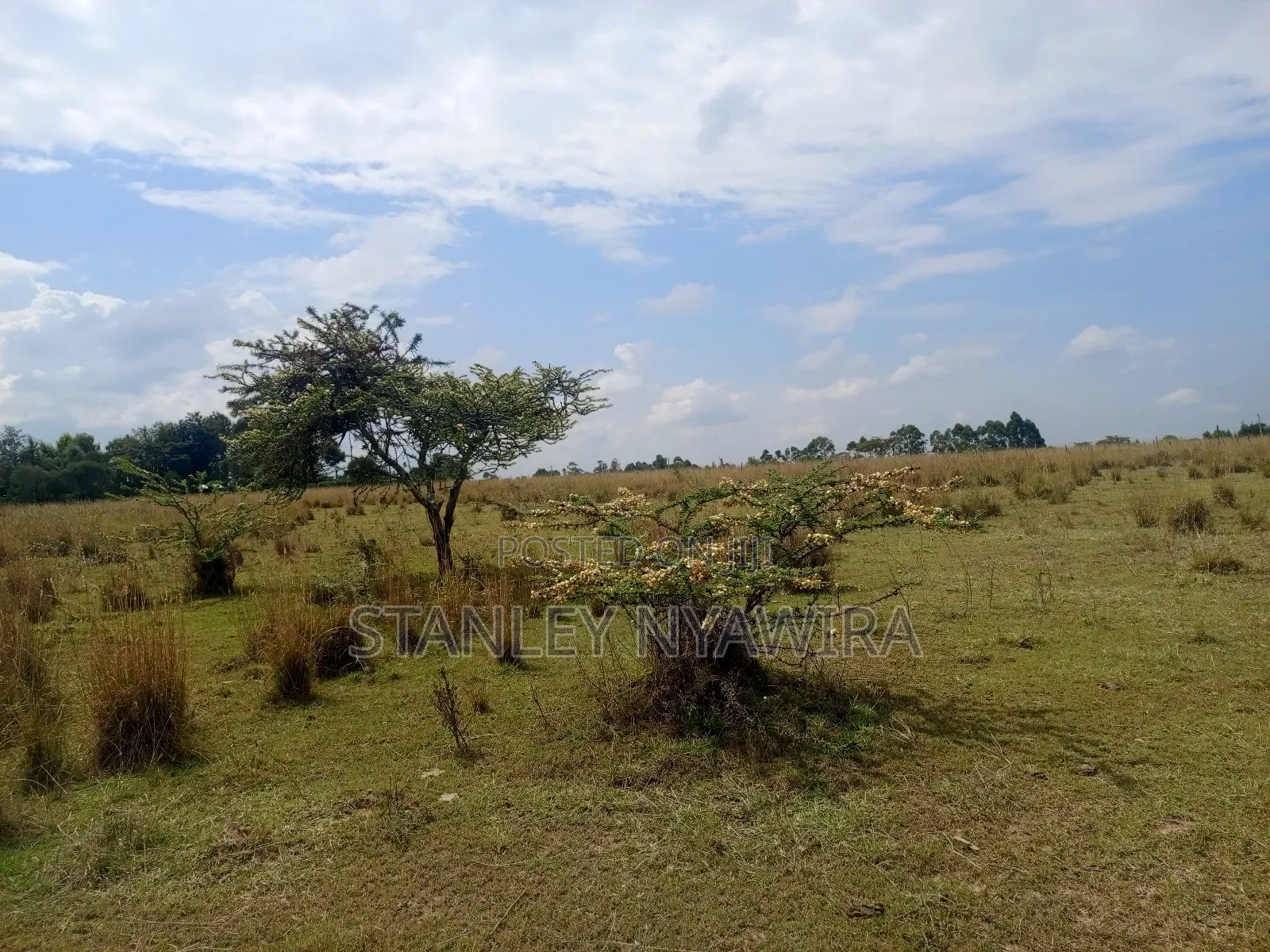 Selling 1.2.3.And 5 Acreas Nanyuki Segera