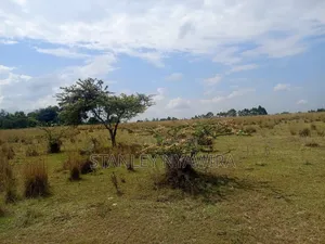 Selling 1.2.3.And 5 Acreas Nanyuki Segera
