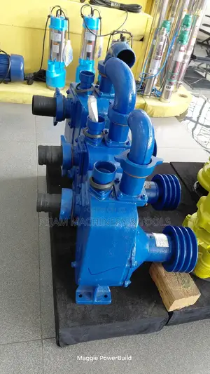 Aico 65bpz Bare Pump 2.5" Cast Iron