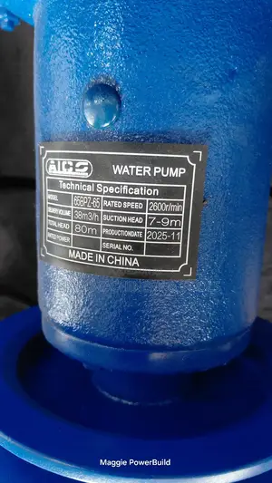 Aico 65bpz Bare Pump 2.5" Cast Iron