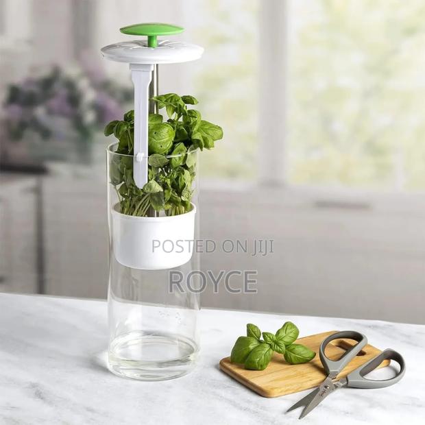 Bpa Free Refrigerator Herb / Vegetable Saver