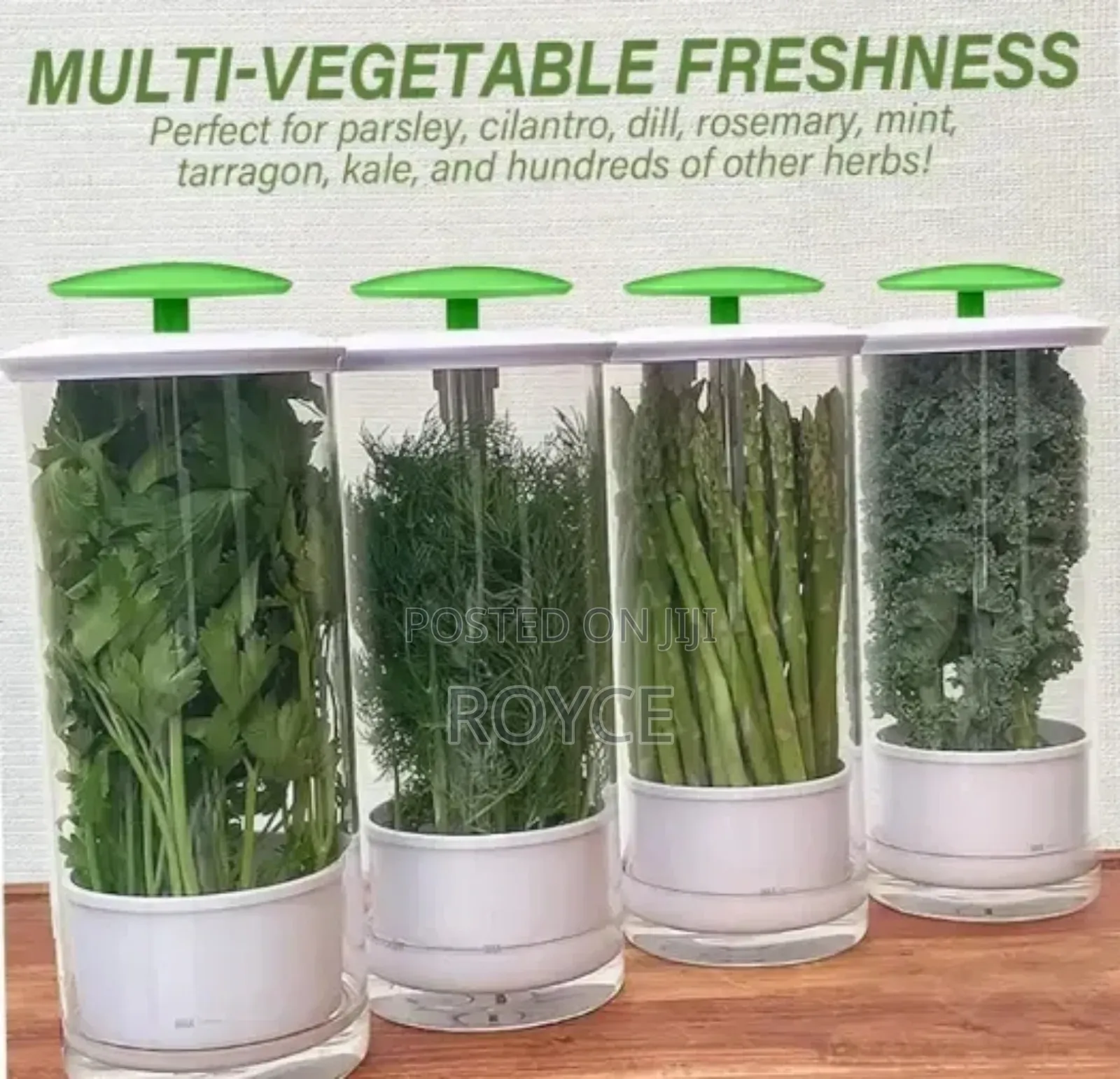 Bpa Free Refrigerator Herb / Vegetable Saver