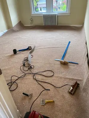 Delta Wall to Wall Carpet Modern Floor Carpet for Home and Shop Spaces