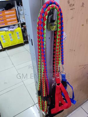 Dog Leash Dog Leash - thumbnail 2