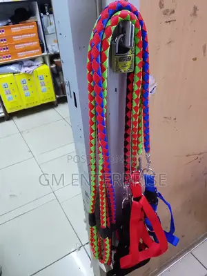 Dog Leash Dog Leash