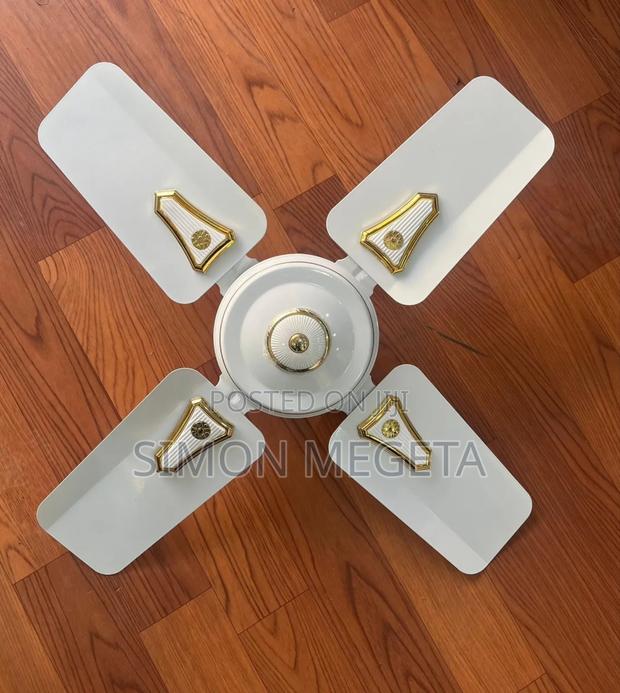 Roch 24 Inches Ceiling Fan