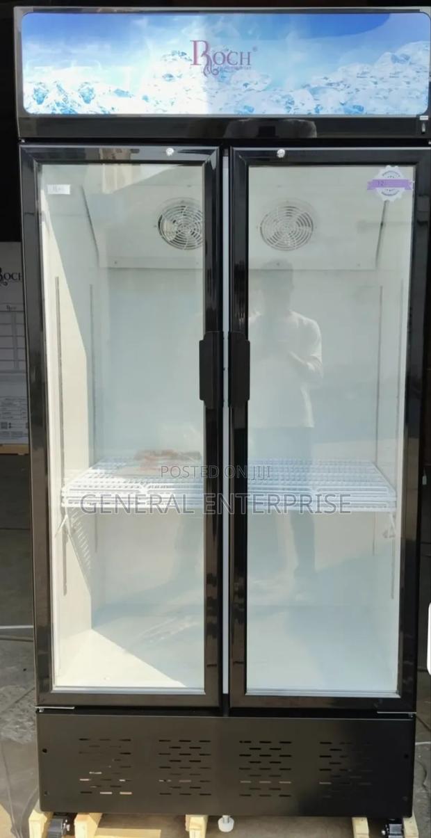 Roch Showcase Rsf680 Side by Side Display Fridge