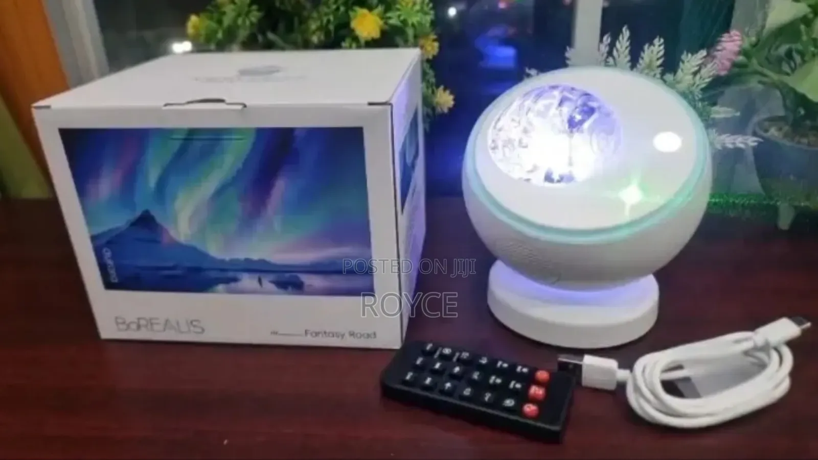 Aurora Borealis Northern Lights Projector