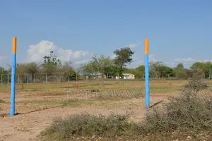 Prime Plots in Masinga Town