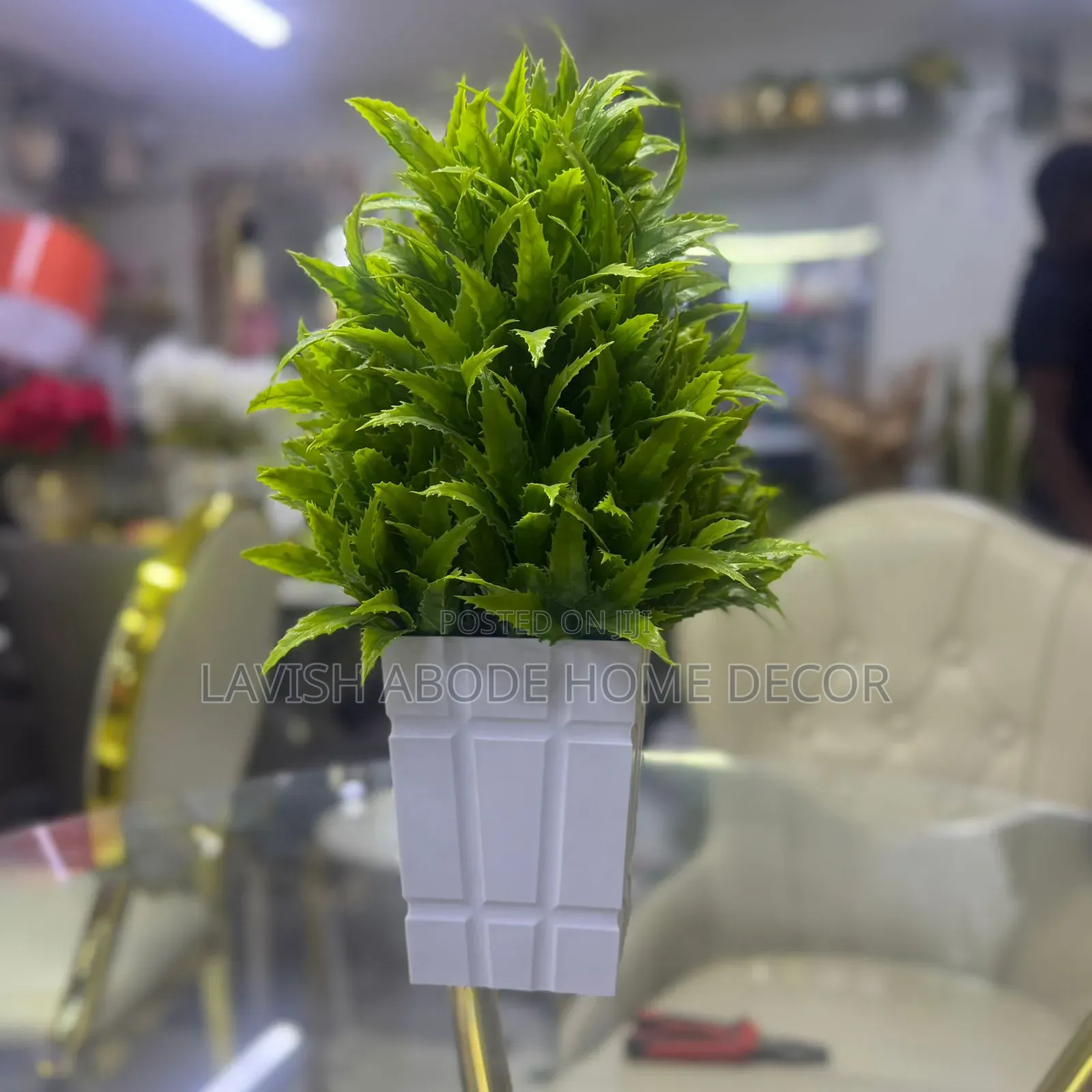 Big Bonsai Flower Best for Desktops/Washroom.