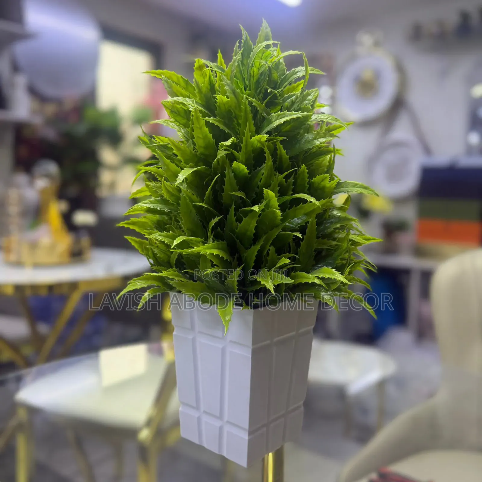 Big Bonsai Flower Best for Desktops/Washroom.