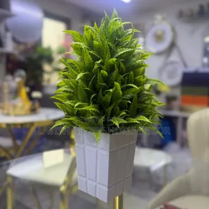 Big Bonsai Flower Best for Desktops/Washroom.
