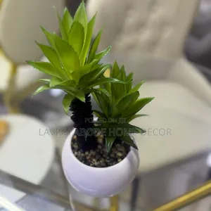 Decorative White Based Succulent for Table Tops.