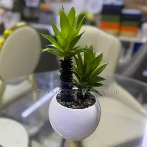 Decorative White Based Succulent for Table Tops.