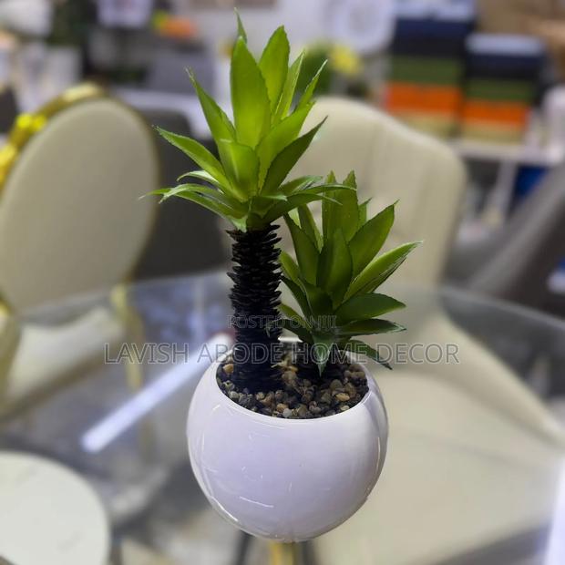 Decorative White Based Succulent for Table Tops. - thumbnail 4