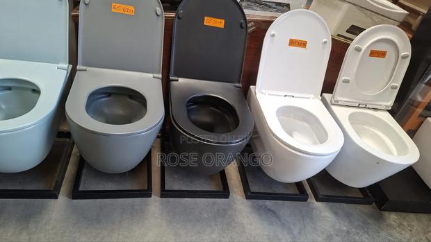 Wall Toilets - main view