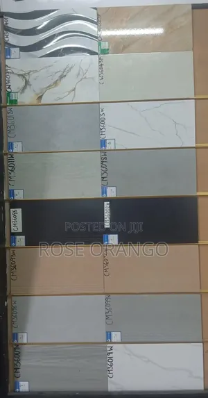 Wall Tiles 300by600cm