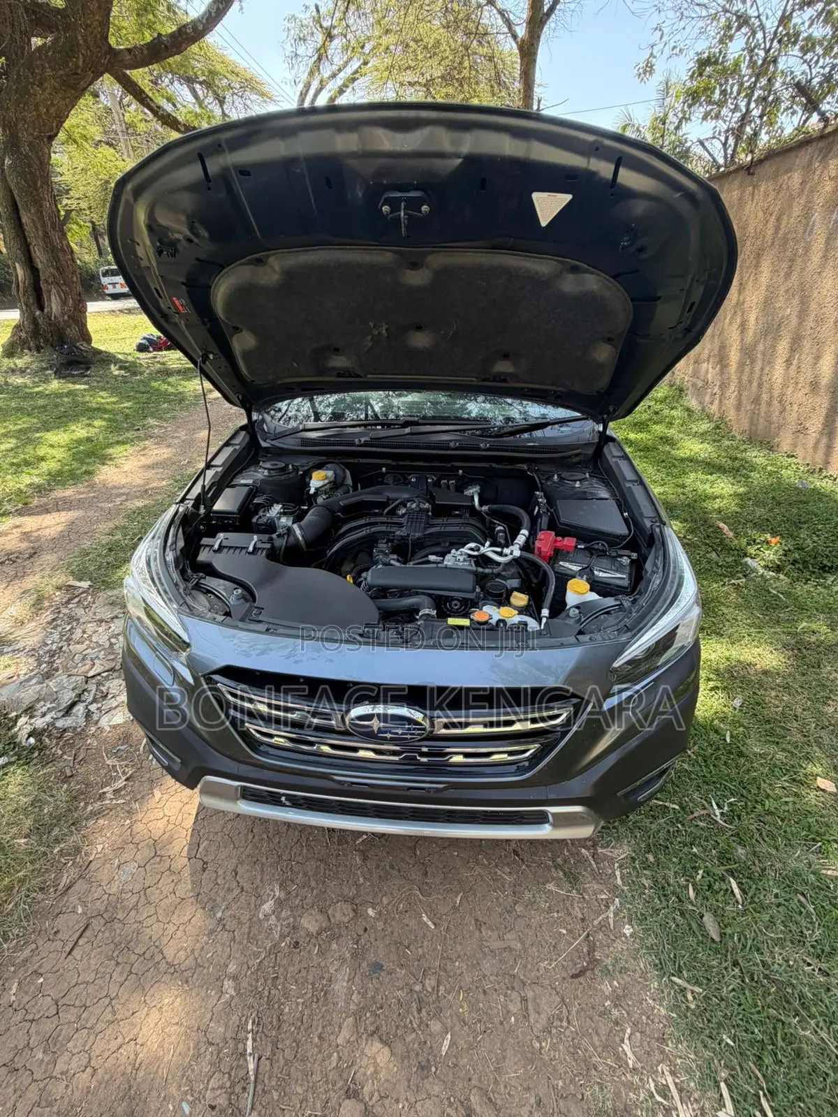 Subaru Outback Premium 2022 Gray