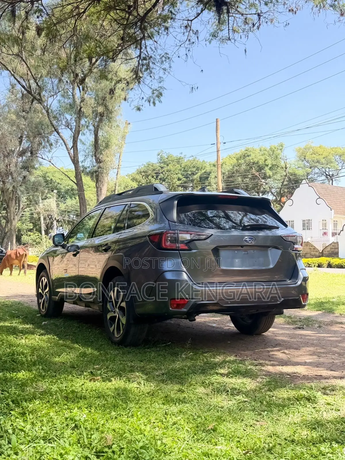 Subaru Outback Premium 2022 Gray