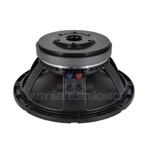 12wk301
12" Speaker