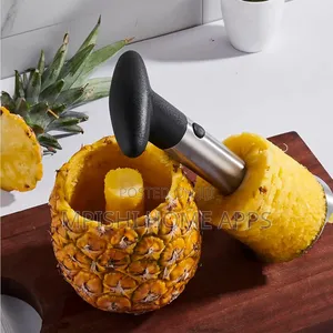 Stainless Steel Pineapple Peeler