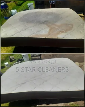 Mattress Cleaning Services