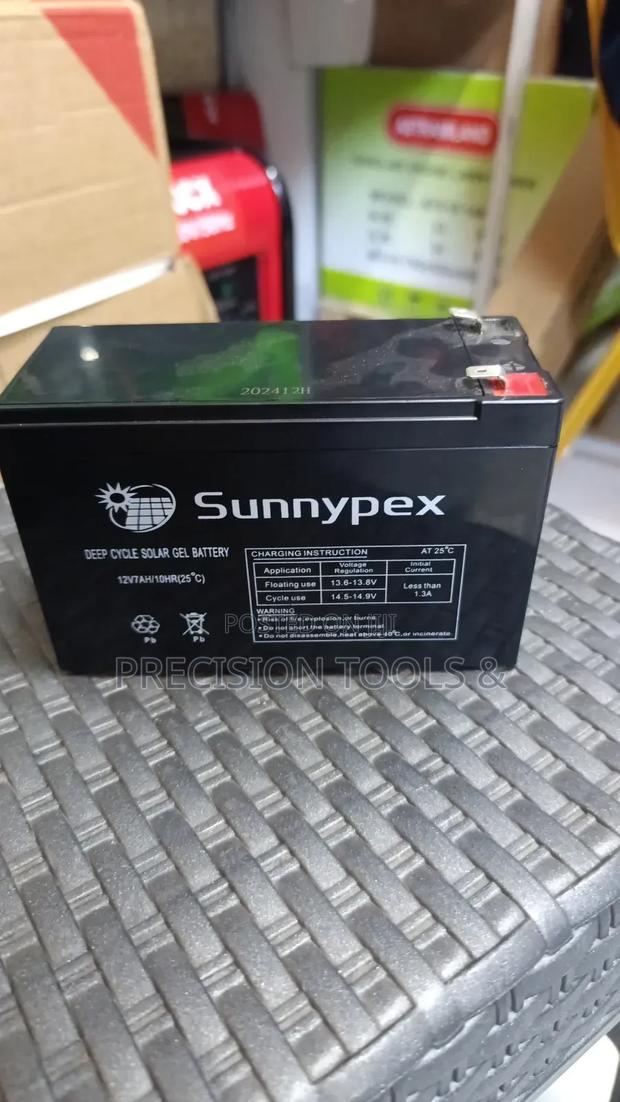 Phoenix Battery 12v 12ah 