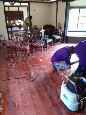 Meticulous Attention to Sofa Cleaning