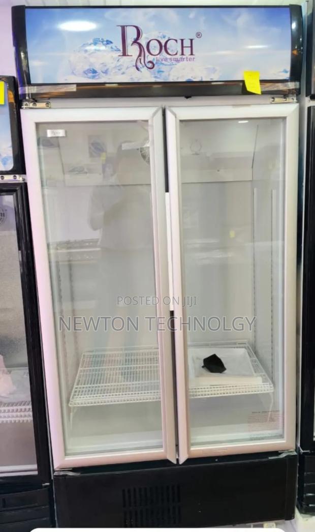 505 Litres Roch Vertical Showcase Model RSF-680-O - main view