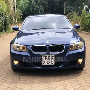 BMW 320i 2011 Blue