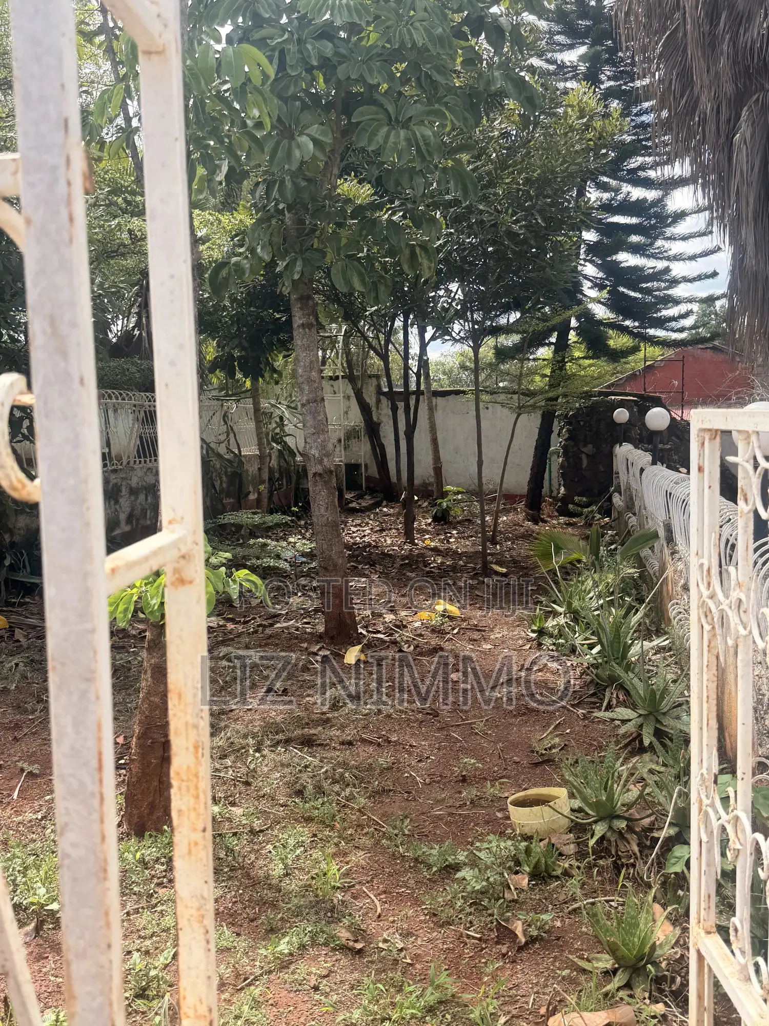 7bdrm Mansion in Kimbo for rent