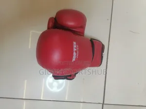 10 _14 Oz Boxing Gloves